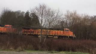 Train at Carkeek Park [upl. by Fotzsyzrk]