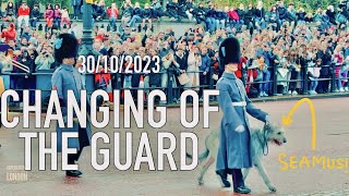 Changing of the guard Changing of the guard Buckingham palace changing the guard London 2023 4k [upl. by Bomke971]