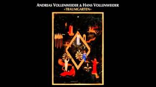 Andreas Vollenweider amp Hans Vollenweider  quotPlay of colorsquot [upl. by Courcy]