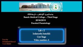 6 Practical Parasitology Iodamoeba Butschlii  Cyst Stage [upl. by Nosniv]