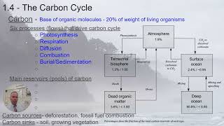 APES  14 The Carbon Cycle [upl. by Ahsenet]