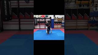 Nunchaku Training 9shorts tutorial nunchaks mustwatch martialarts kempo mma insane epic [upl. by Pellegrini]