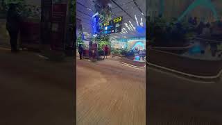 Mentahan bandara singapore changiairport singapore mentahan prank [upl. by Jasmine313]