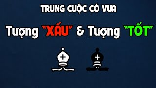 Tượng quotTỐTquot amp Tượng quotXẤUquot  Trung cuộc  Kiến thức cờ vua [upl. by Frayne]