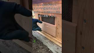 ミツバチ巣箱の巣門を開ける動画 セイヨウミツバチ 養蜂 木こりの日常シリーズ [upl. by Ilowell]