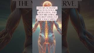 Unlocking the Secrets of the Vagus Nerve The Ultimate MindBody ConnectionHashtagsVagusNerve [upl. by Han858]