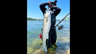 The Best Conditions To Fish The Cape Cod Canal [upl. by Akemrej]