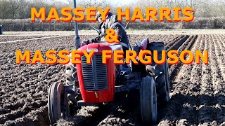 Massey Harris and Ferguson Tractors [upl. by Ecnahoy]