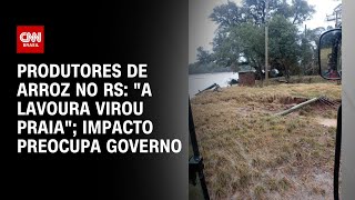 Produtores de arroz no RS quotA lavoura virou praiaquot impacto preocupa governo  CNN NOVO DIA [upl. by Vanderhoek]