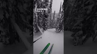 Follow for more powder skiing content  revelstoke skibum skiingislife revelstoke revelstoked [upl. by Eanrahc479]