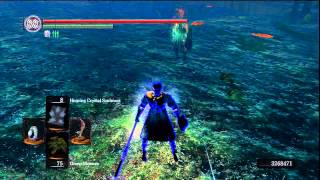 Dark Souls PvP Whoevers the fastest gets the prey pt 2 [upl. by Langsdon]