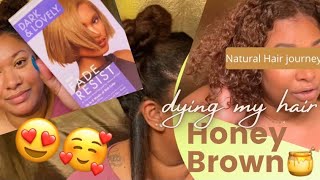 Dying Natural Hair Light Brown 🍯 DIY Honey Brown Hair Dye 🤎 Dark N Lovely Sunkissed Brown [upl. by Warfeld]