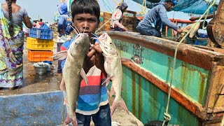 How this boy catches fish is amazing  village fishing  fishing video [upl. by Francine]