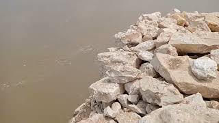 Sindhu darya ke kinare  heavy flood in Sindhu darya [upl. by Levins]