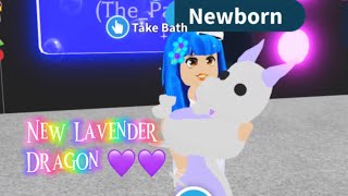 New rare Lavender Dragon in Adopt me Roblox [upl. by Buiron]