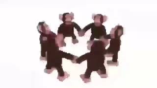 Monos bailando que te alegrarán el día🐵 [upl. by Shutz]