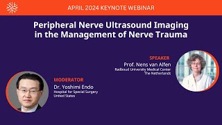 Peripheral Nerve Ultrasound Imaging in the Management of Nerve Trauma [upl. by Shifra102]