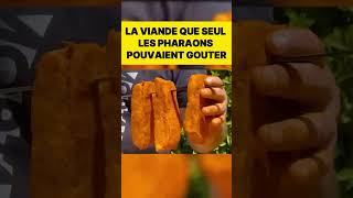 Pourquoi les Pharaons Adoraient la Bosse de Chameau food foodhack cuisine nourriture recette [upl. by Etnecniv33]