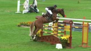 ♂ For Hero jumping stallion Hann by For Pleasure [upl. by Reena135]