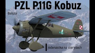 PZL P11G Kobuz  jedenastka na sterydach [upl. by Angid816]