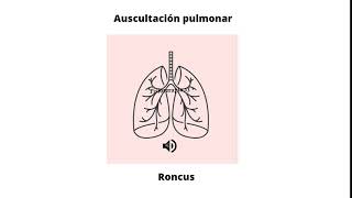 Ruidos respiratorios agregados  Roncus [upl. by Lucey224]