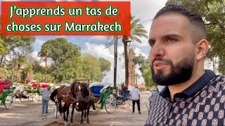 Marrakech en calèche 🇲🇦 J’en apprends beaucoup sur cette magnifique ville [upl. by Aikym]