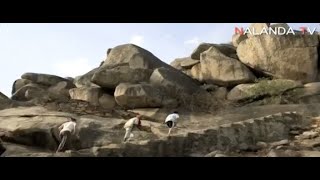 MUST SEE MAURYAN EMPIRE BARABAR CAVES JEHANABAD DISTRICT  BIHAR [upl. by Noemys]