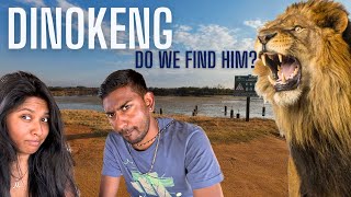 🦁 Dinokeng Game Reserve  Hunting for Lions [upl. by Nightingale]