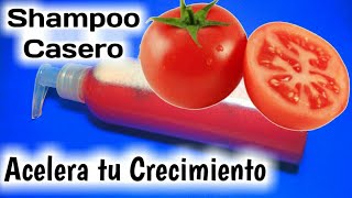 SHAMPOO DE TOMATE PARA ACELERAR EL CRECIMIENTO DEL CABELLO pelocasero2 [upl. by Analeh]