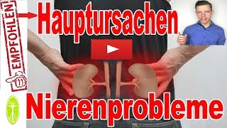 TOP 9 Ursachen für Nierenprobleme Nierenerkrankungen Nierensteine  Ernährung und Gesundheit [upl. by Lomaj]