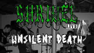 Shrivel  Unsilent Death NAILS cover live 111524 [upl. by Jordon]