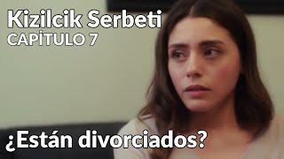 Kizilcik Serbeti Sorbete de Arándanos Capitulo 7 en español  ¿Están divorciados [upl. by Ykceb]