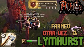 Subiendo la Peletería a T8 en Lym  Albion Online [upl. by Garnes]