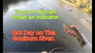 Fly Fishing the Goulburn River on a Hot Feb 2024 Day [upl. by Chirlin]