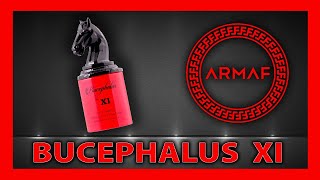 🚀ARMAF BUCEPHALUS XI  CLONES de PERFUMES de nicho  FRAGANCIAS ECONÓMICAS [upl. by Spanjian]