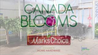 Canada Blooms Journey  Toronto Home Shows [upl. by Medovich]