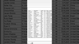 Print Titles on Every Page in Excel ExcelTips [upl. by Eamanna]