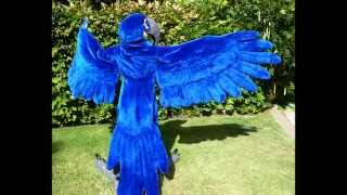 Macarena Macaw from concept to creation [upl. by Esyla]