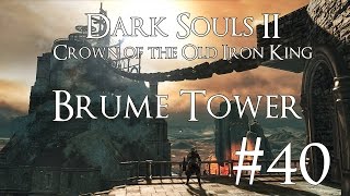 Dark Souls 2 DLC II CotOIK PC 100 Walkthrough 40  Brume Tower  Scorching Iron Scepter [upl. by Nannek94]