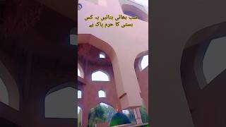 ﷻﷻﷻ واہ ربا تیریاں رمزاںChenelAzaadariHaqtrending viralvideo [upl. by Zaid775]