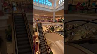 Escalator in mall [upl. by Enaud]