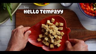 What is Tempeh  Discover Hello Tempayy [upl. by Cire]