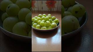 നെല്ലിക്ക ഉപ്പിലിട്ടത് 🤤🤩gooseberry tasty malayalamshorts [upl. by Saree]