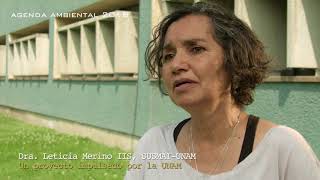 Leticia Merino  El proyecto de Agenda Ambiental para 2018 [upl. by Flanigan219]