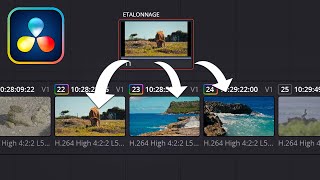 Comment copier coller un étalonnage sur plusieurs plans avec Davinci Resolve 18 [upl. by Ulda]