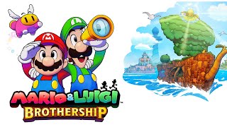 Mario and Luigis 510 Blundership [upl. by Schnapp]