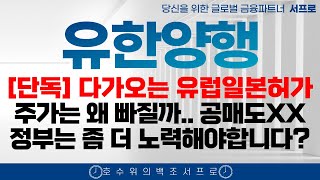 단독영상 유한양행 주가전망 주가는 왜 빠질까 금투세폐지 확정 엄민용 바이오 조정 유한화학 폐암학회 비만치료제 FEAT 오스코텍 유한양행고점 유한양행서프로 [upl. by Honorine]