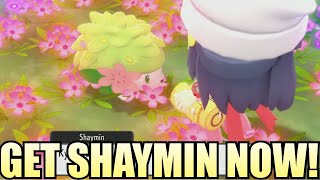 GLITCH How to catch Shaymin NOW in Pokemon Brilliant Diamond Shining Pearl [upl. by Eelloh700]