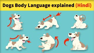 Dogs Body Language Explained in Hindi [upl. by Thorn]