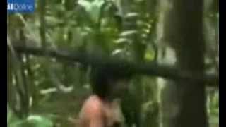 Brazils isolated Amazon Kawahiva Tribe captured for first time on video [upl. by Picker337]